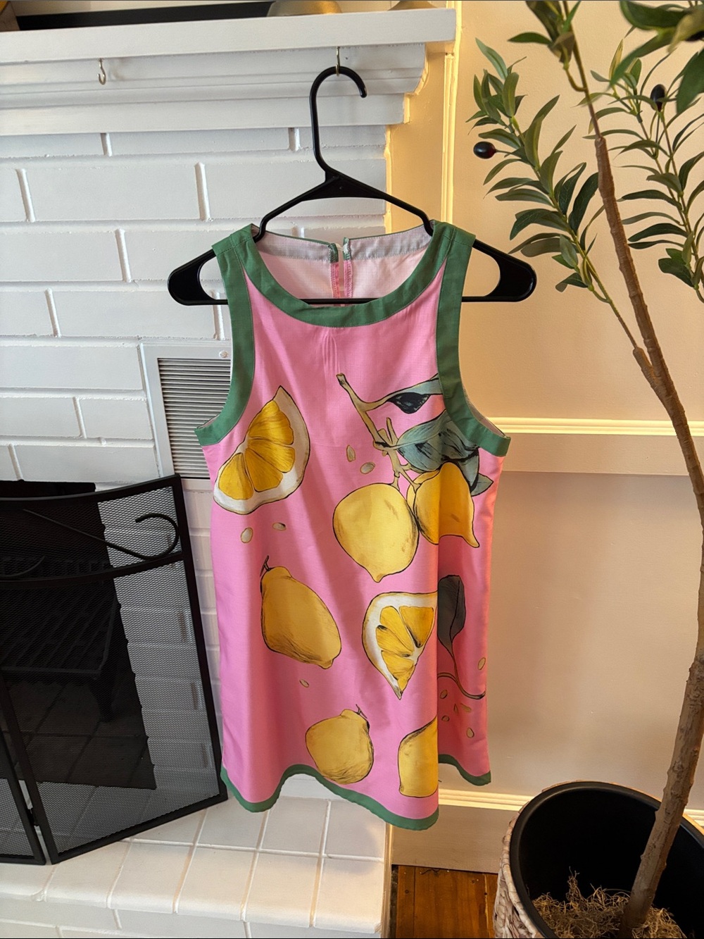 Pink Lemon Print Casual Dress with Green Trim